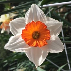 Offers Welcome!